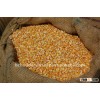 best quality maize grade