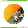 feed additives yellow corn maize China origin low prices