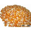 Vietnam Yellow Corn