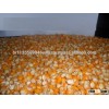 New Crop Yellow Corn for Human and animal consumption cheap prices