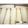 White Glutinous Corn Grains