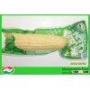 2015 New Crop Fresh Glutinous Corn White Corn Waxy Corn