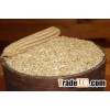 white corn for sale now