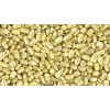 White Corn Grade A