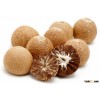 VIETNAM BETEL NUT / SPLIT BETEL NUT /SLICE BETEL NUT NEW CROP