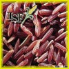 HIGH QUALITY Natural Whole Grain Nutritional Thai Red Rice THAILAND EXPORT SALE LONG GRAIN