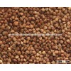 BUCKWHEAT KERNELS BULK