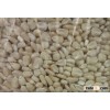QUALITY GRADE 1 YELLOW CORN & WHITE CORN/MAIZE