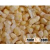 High Quality Frozen Sweet Corns from Europe