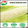 High Quality White Corn from China