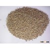 MILLET (BAJRA)