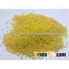 yellow millet