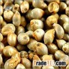Pearl millet from india