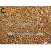 Yellow Millet 2015 crop from Shanxi Origin