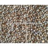 Non-Machine Clean Green Millet For Animal Feed Suppliers