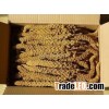 yellow millet sprays