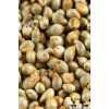 Green Millet For Animal Consumption