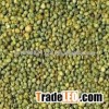 GREEN MILLET(ANIMAL FEED)