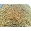 Millet