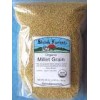 High Quality Yellow white broom corn millet/millet seed