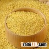 Glutinous millet