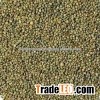 Fresh Style & Millet Type, Green mILLET