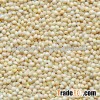 Pearl Millet