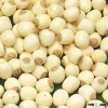 Yellow Millet 2015 crop from South Africa
