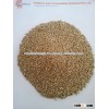 Fresh green millet/Bajra Supplier fromGujarat