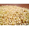 Organic Millet for sale.!!