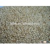 white broom corn millet for bird