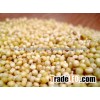 Millet, Yellow Millet, Red Millet, Millet Grain, Hulled Millet for sale