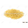 Foxtail Millet