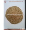 Green Millet For Human Consumption Best Exporters