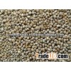 Indian Millets Prices