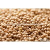 Yellow Millet