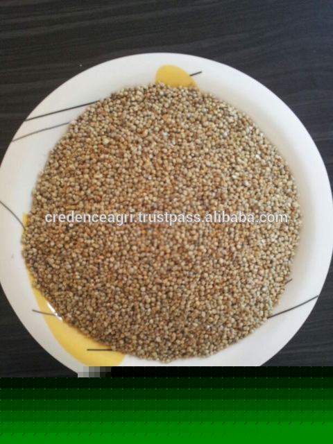 Prime Quality Green Millet For Human Consumption