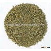 Human Consumption Green Millet For Ukraine