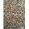 Animal Feed Green Millet For Egypt