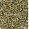 First Class Quality Green Millet For Animal Feed