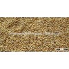 Green Millet For Animal Feed Best Exporters