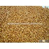 High protein Content Green Millet For Cattle Feed In Bulk