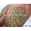 Standard Quality Green Millet For Human Consumption In Bulk