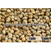 Yellow Millets at low price