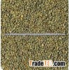 Gujarat Fresh green millet Supplier