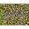 Indian Green Millet Suppiler