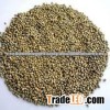 Gujarat Fresh greenmilet/Bajra Seller