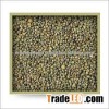 indian millet grain prices