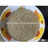 Green Millet Human Consumption For Iran