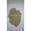 yellow millet bird seed